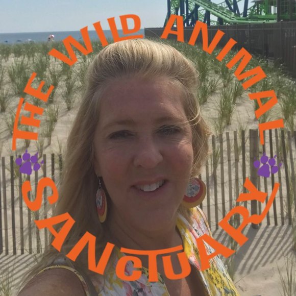 Meet your Posher, Sandy - Picture 1 of 1